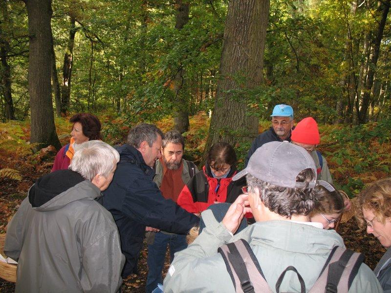 2008 10  Myco avec l 'ANY 07